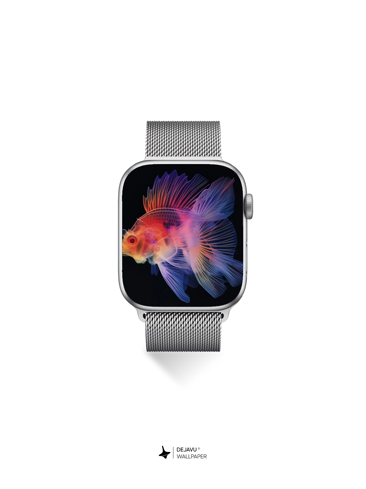 8K Abstract Fish Wallpaper: Minimal Aesthetic with Soft Gradient