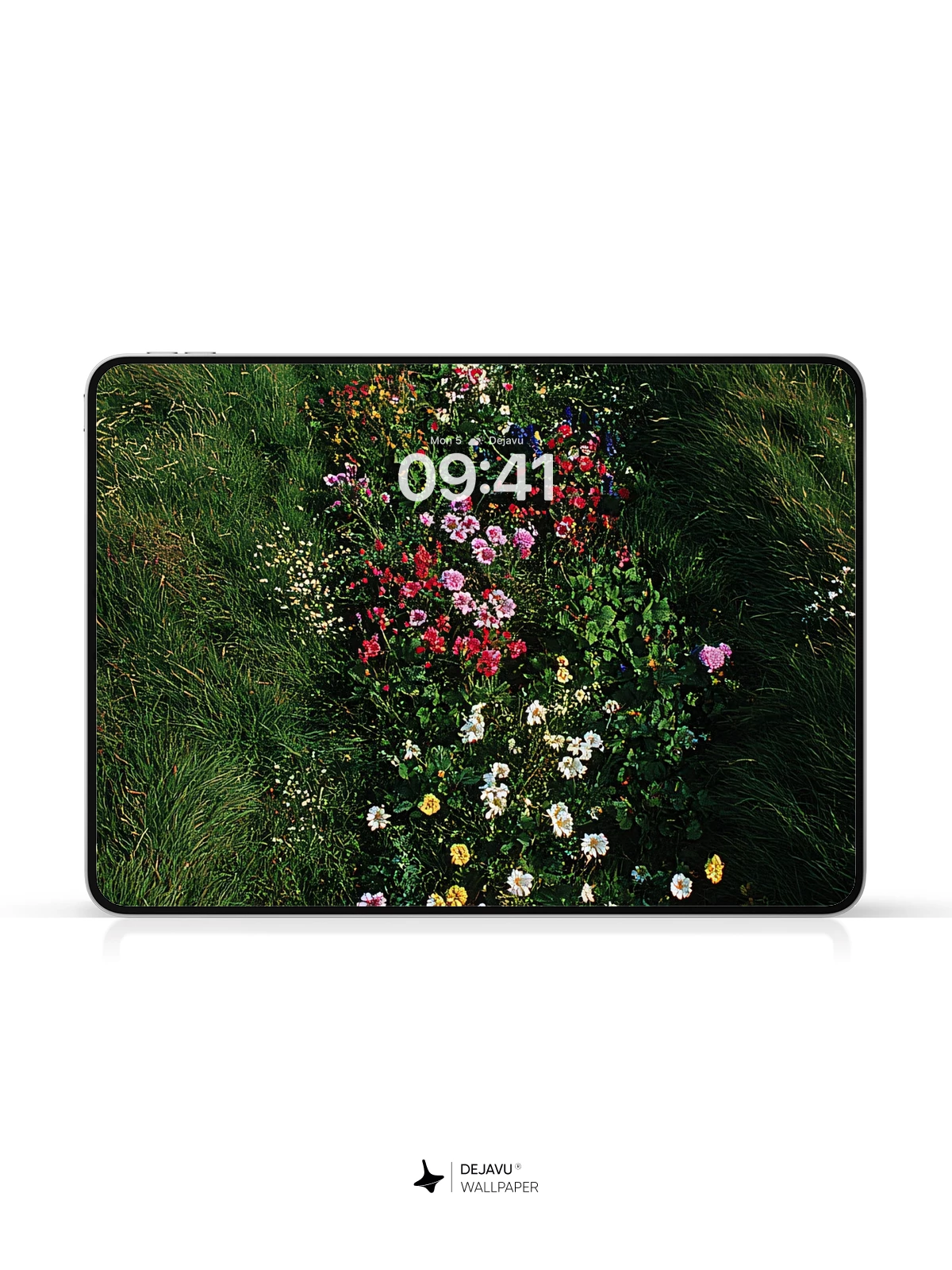 Wildflower Path Wallpaper 8K for iPhone and Android