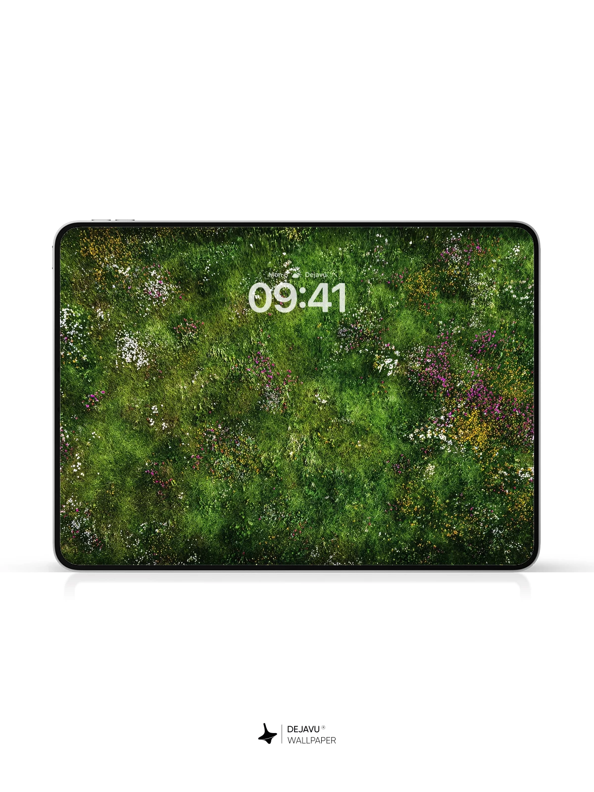Wildflower Meadow Wallpaper 8K for iPhone and Android