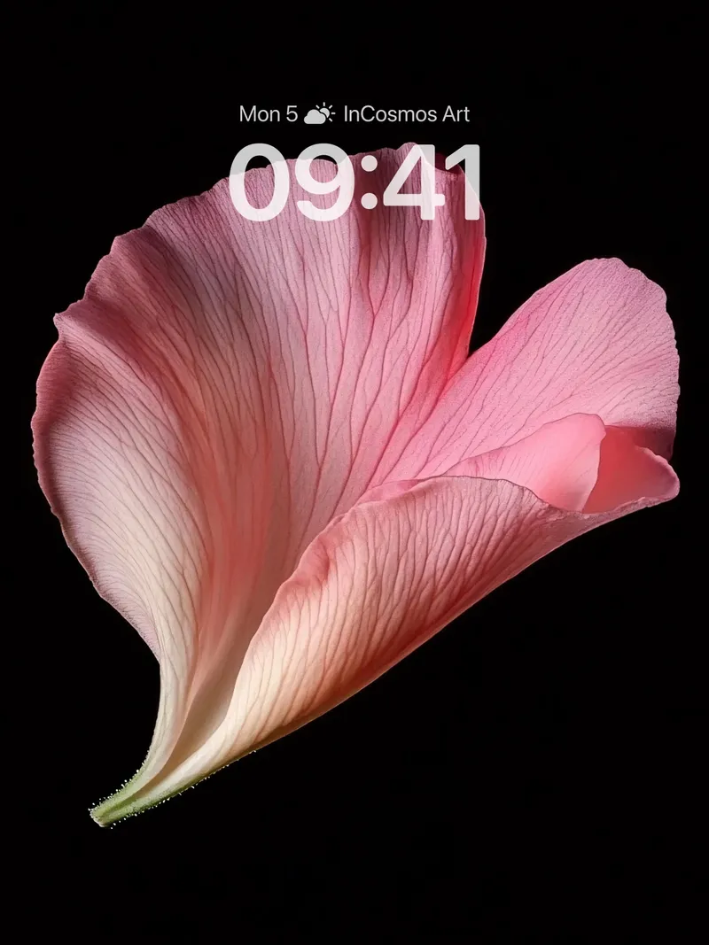 Silken Whisper Wallpaper with Petal Veil