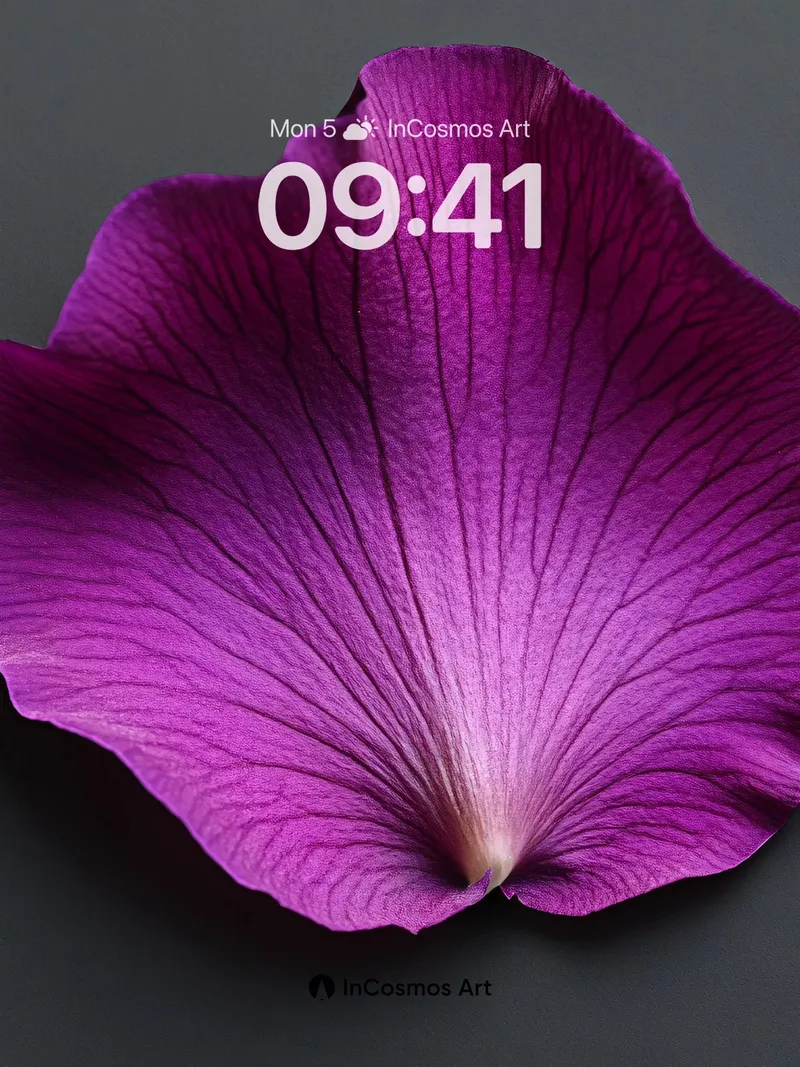Velvet Petal Wallpaper with Veined Light
