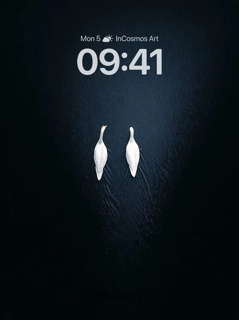 Serenity Swans Wallpaper with Midnight Water