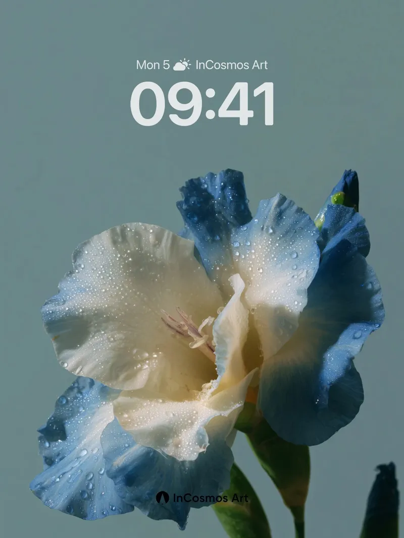 Serene Dewdrop Wallpaper with Iridescent Petals