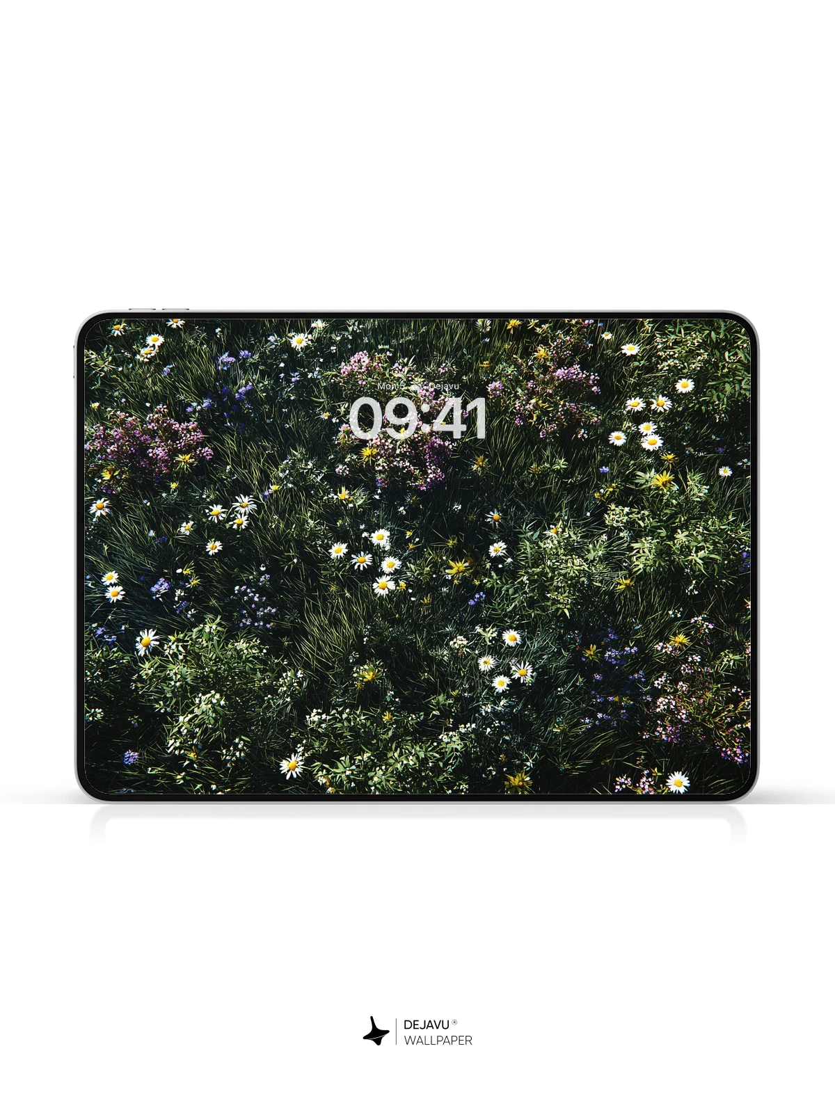 Wildflower Meadow Wallpaper 8K for iPhone and Android