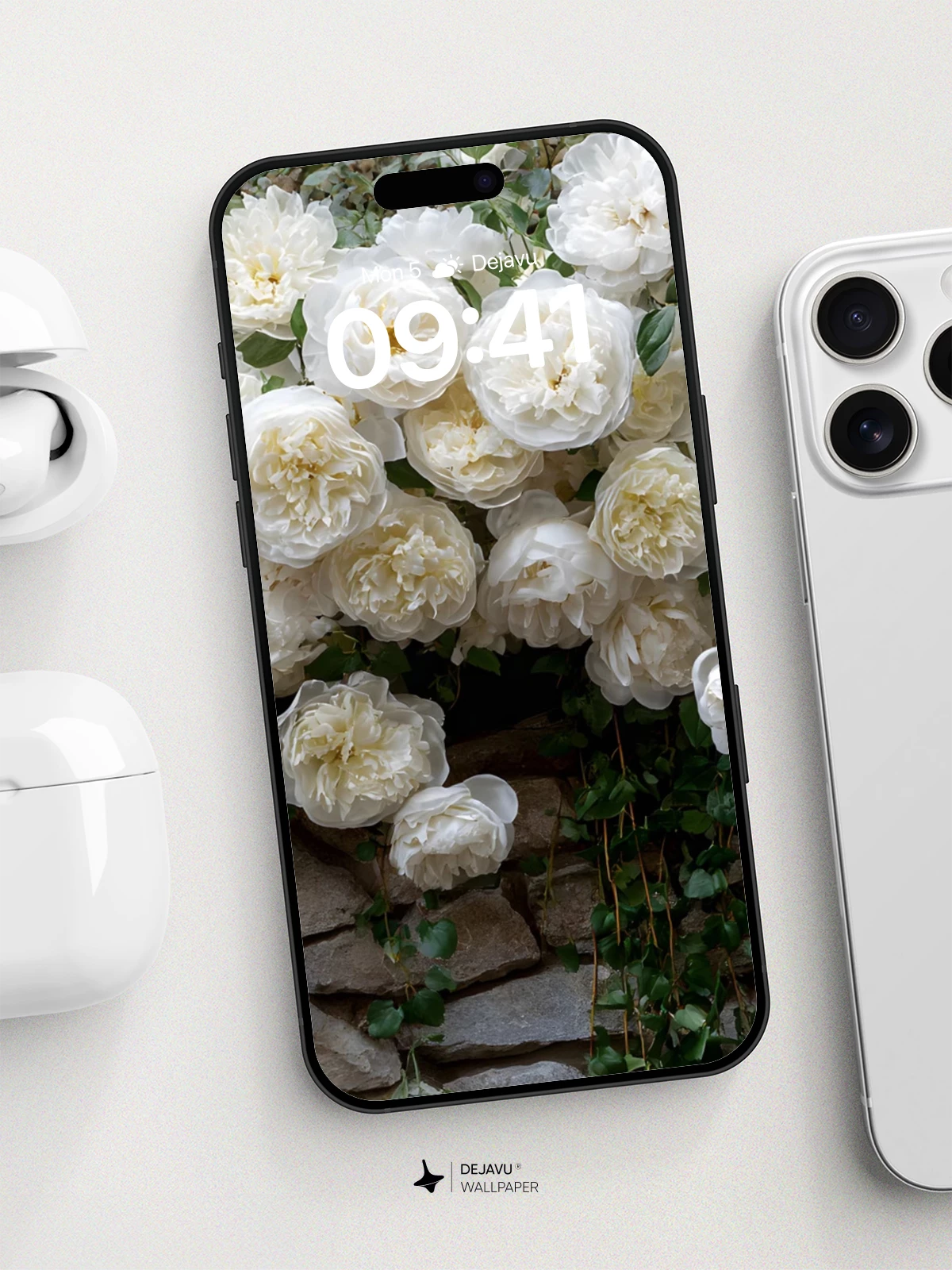 White Rose Garden Wall Wallpaper 8K for iPhone and Android