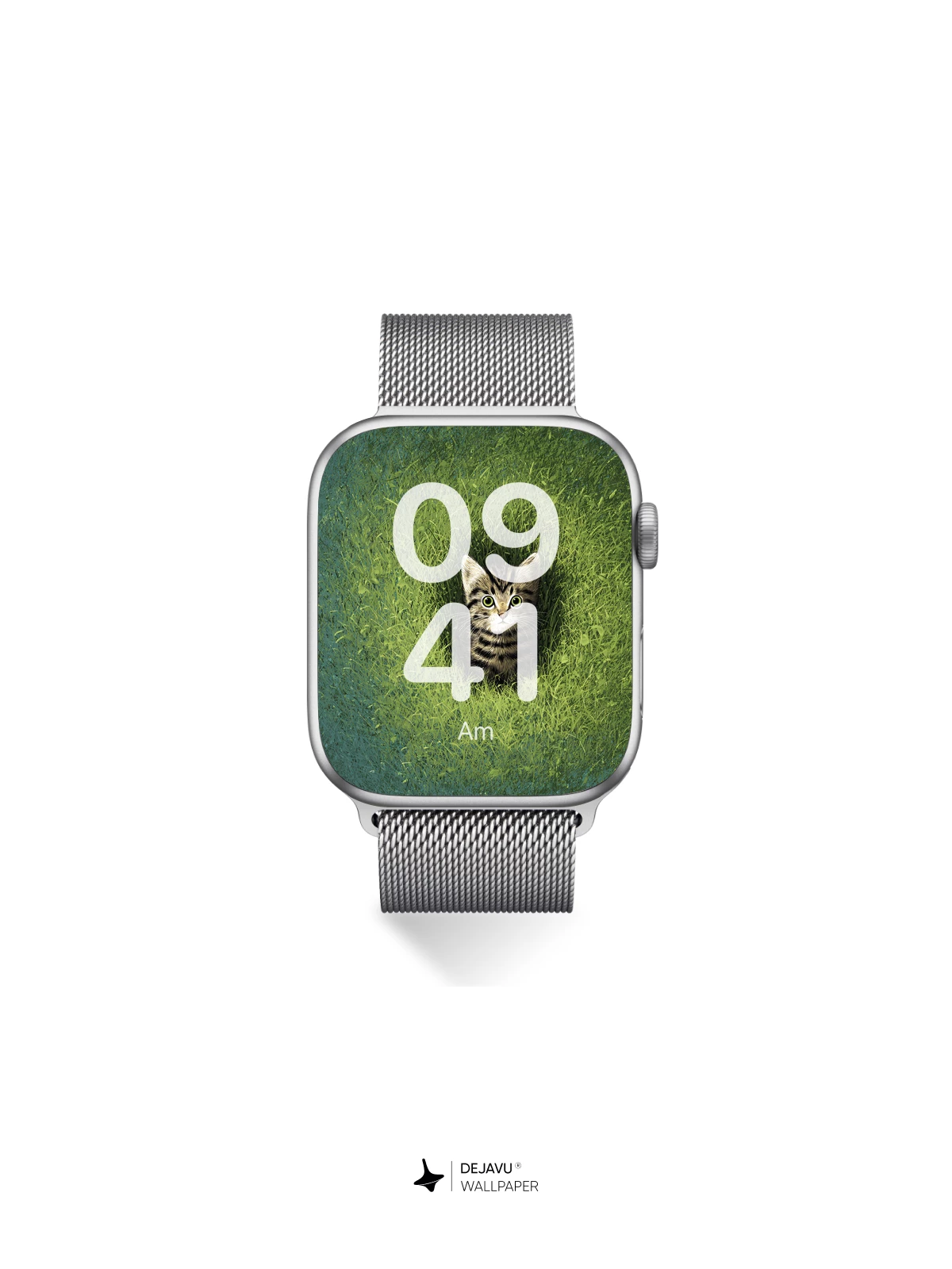 Whiskered Secret in the Grass Wallpaper 8K for iPhone and Android