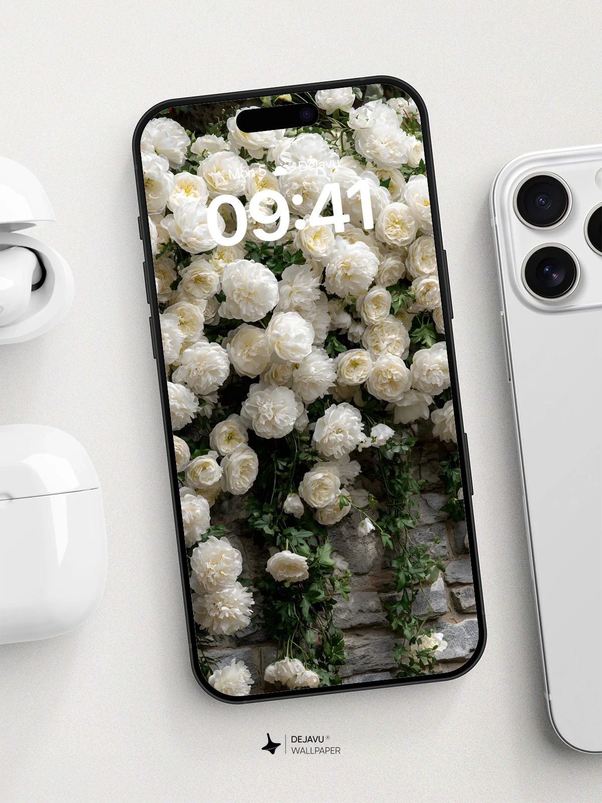 White Rose Garden Wallpaper 8K for iPhone and Android