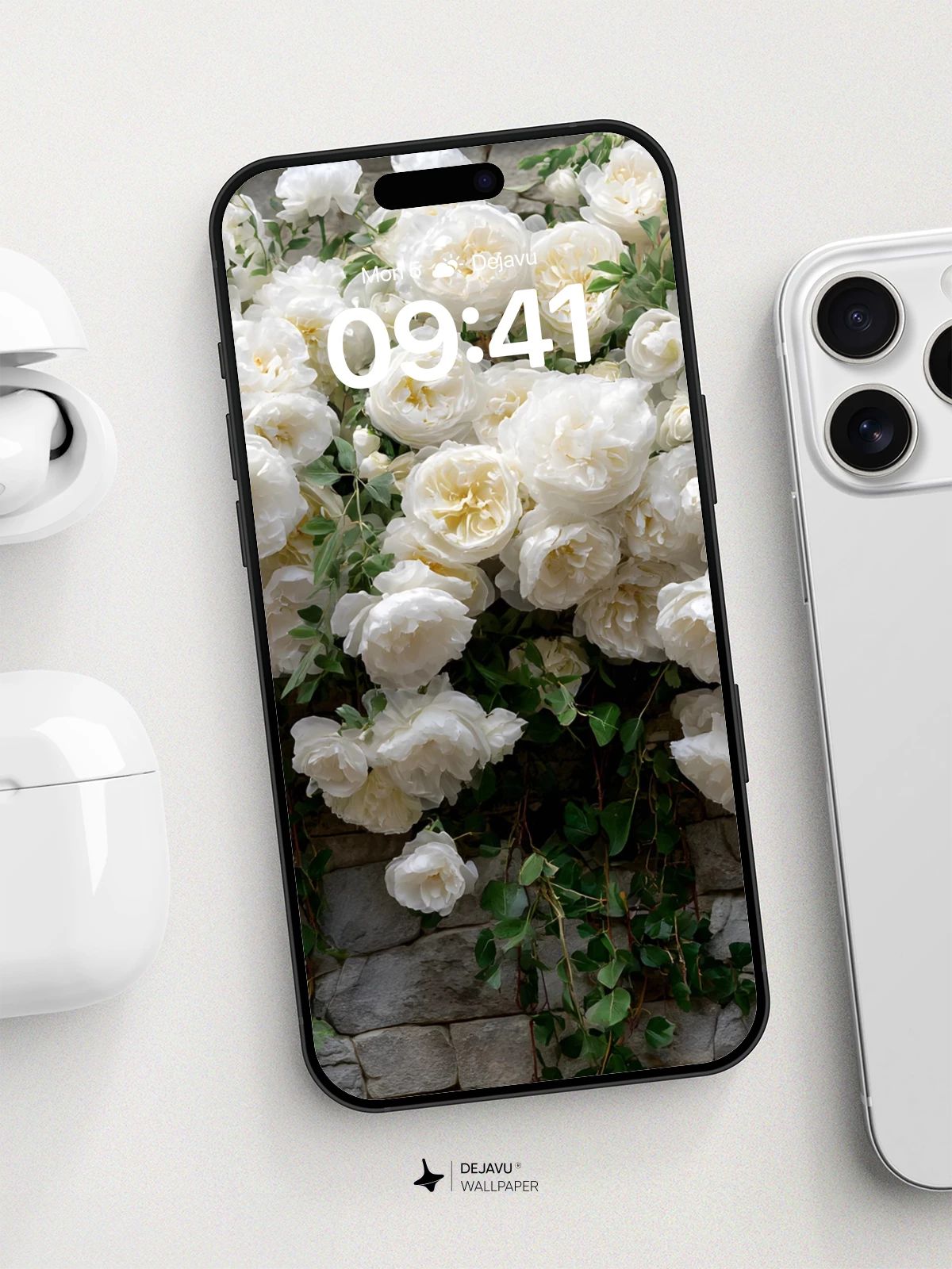White Rose Garden Wallpaper 8K for iPhone and Android