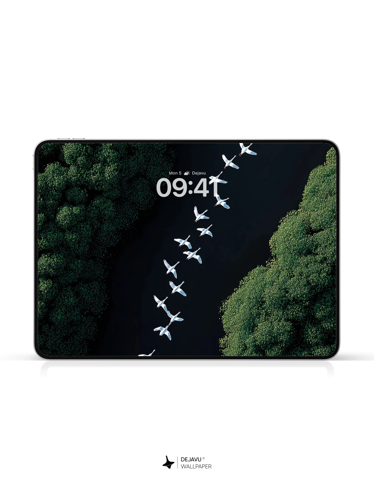 Geese Flight Over Forest River Wallpaper 8K