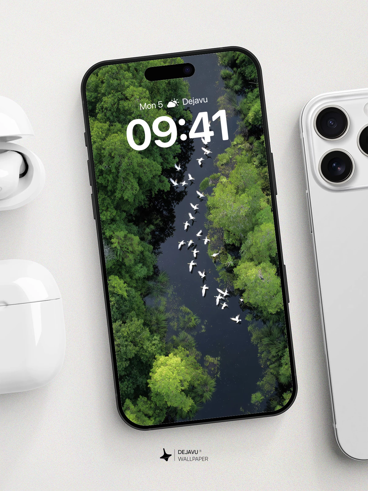 Aerial River With Flying Birds Wallpaper 8K for iPhone and Android