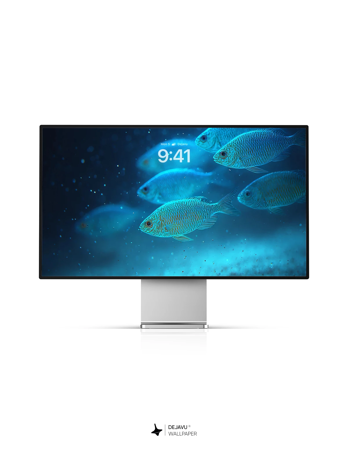 Blue Fish School 8K Wallpaper for Phone