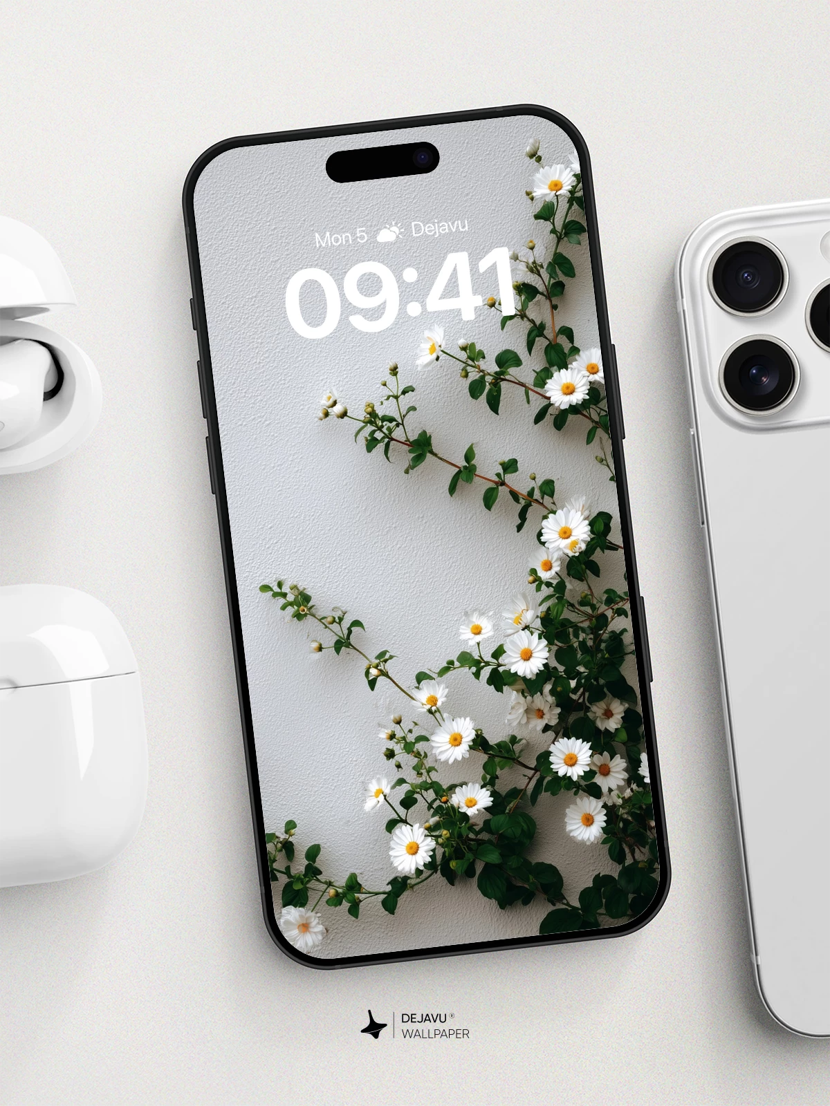 White Daisies on White Wall Wallpaper 8K