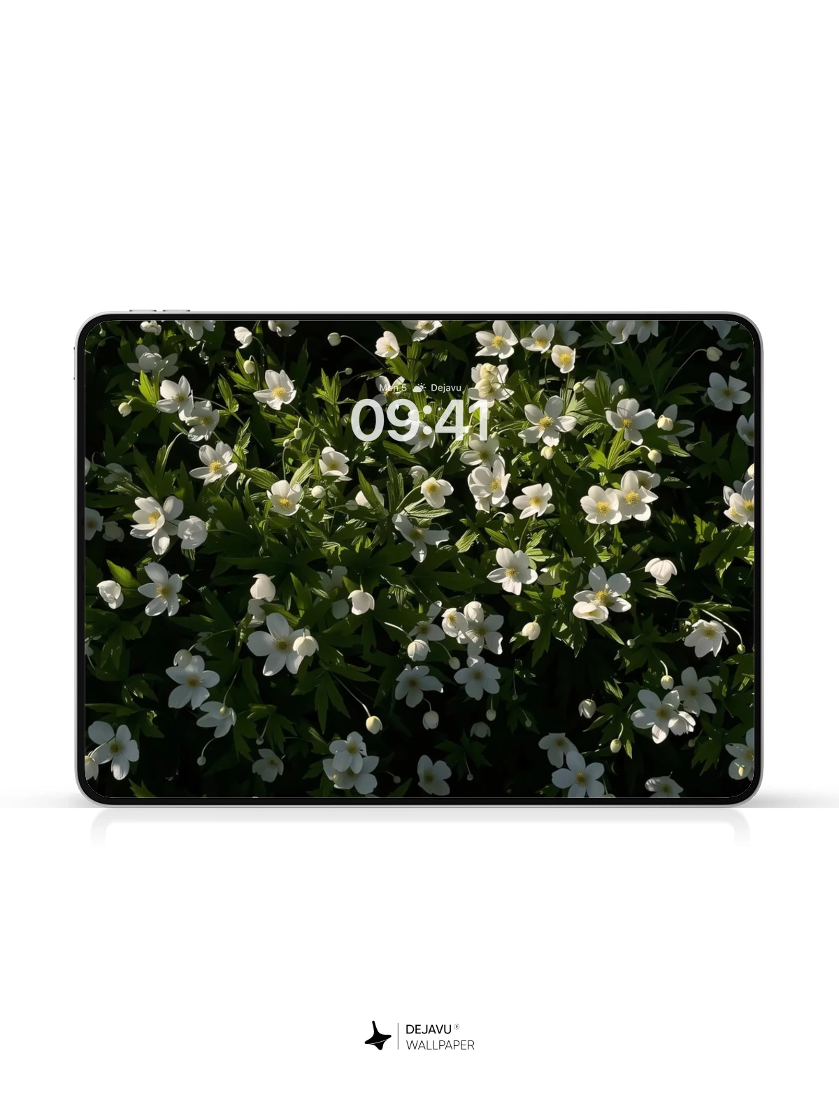 White Flowers Wallpaper 4K for iPhone Lock Screen