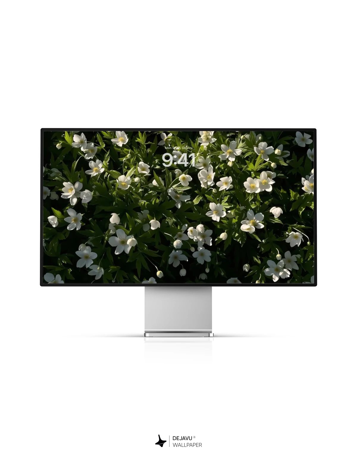 White Flowers Wallpaper 4K for iPhone Lock Screen