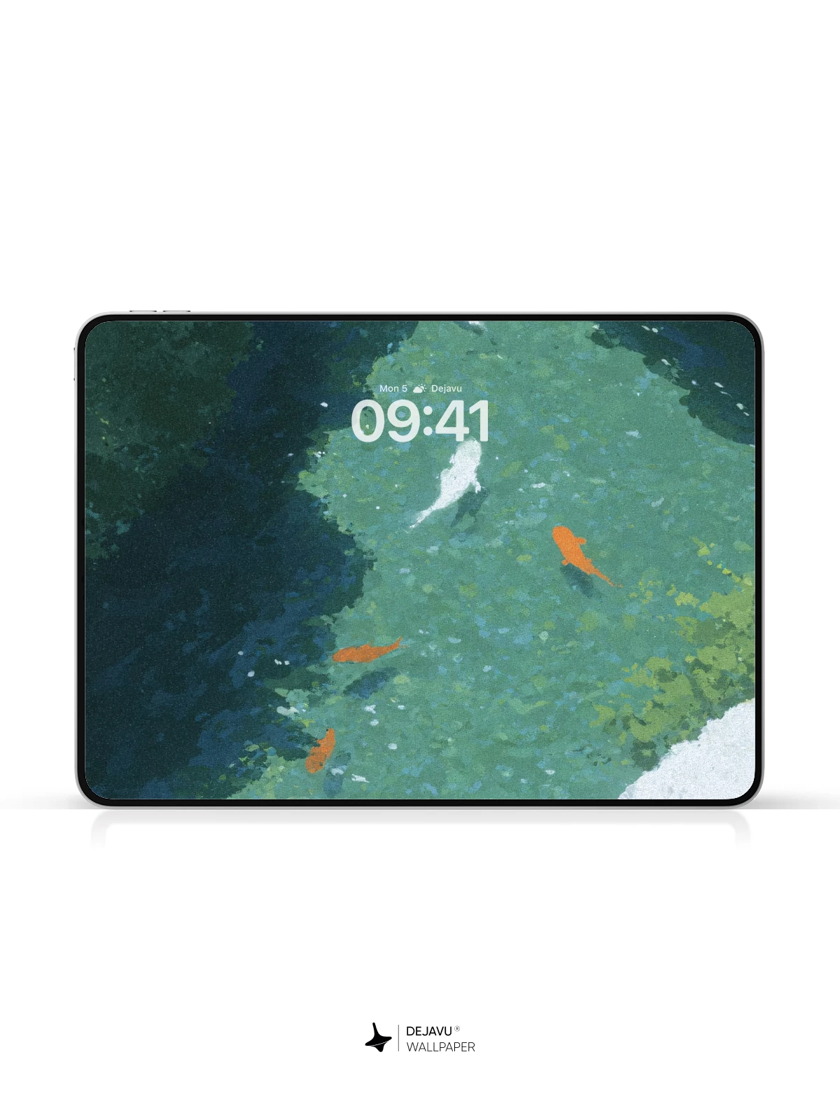 Koi Fish Pond Wallpaper 4K for Mobile Background