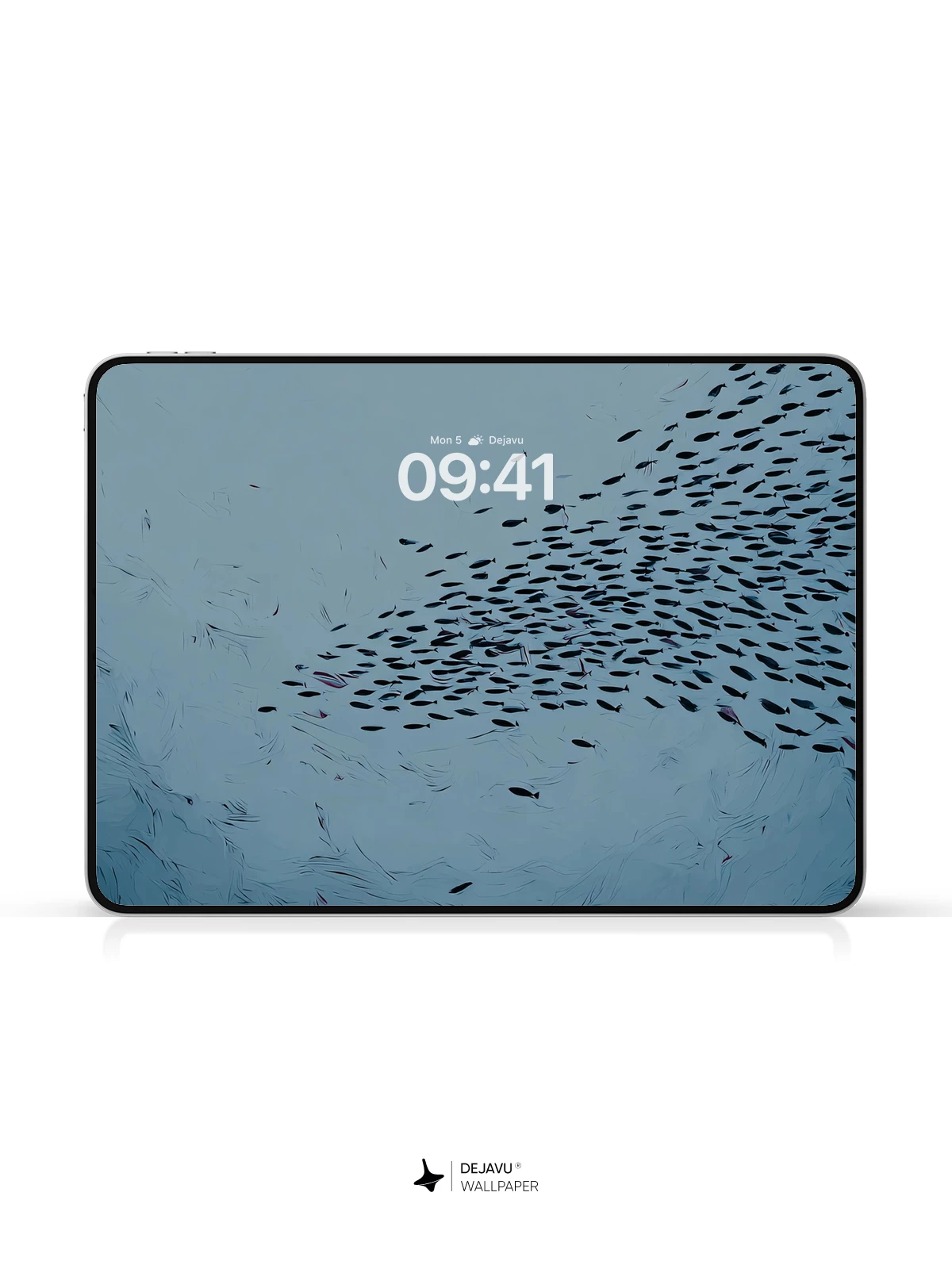 Blue Ocean Fish School Wallpaper 4K for iPhone Lock Screen