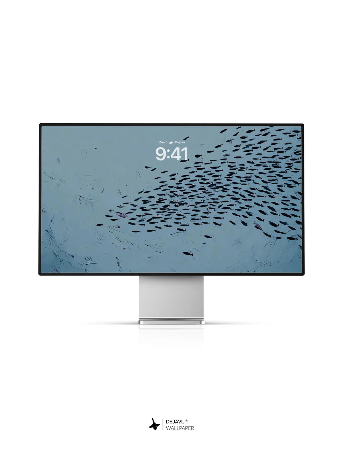 Blue Ocean Fish School Wallpaper 4K for iPhone Lock Screen