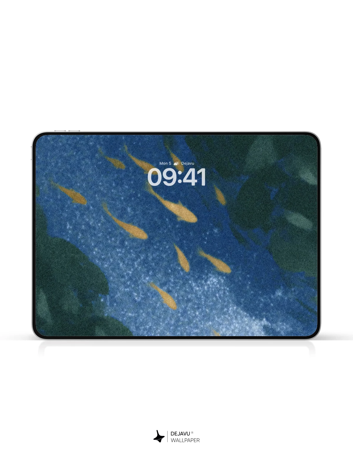 Underwater Fish Wallpaper 4K for Mobile Background