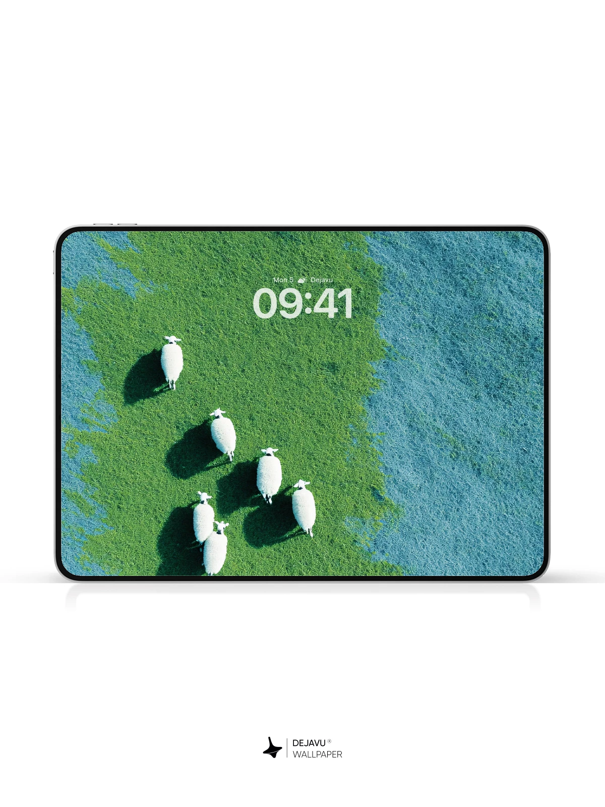 Aerial Sheep Flock Wallpaper 4K for Mobile Background