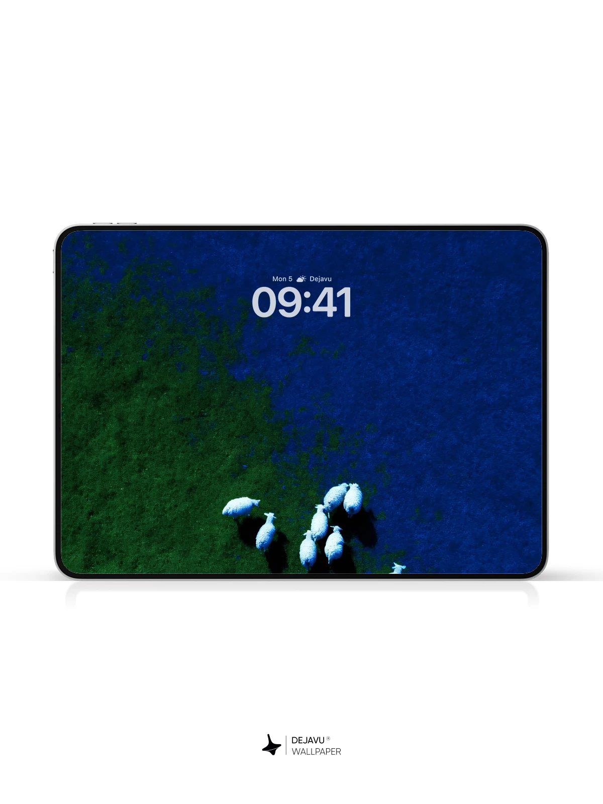 Sheep in Water Wallpaper 4K for iPhone Lock Screen
