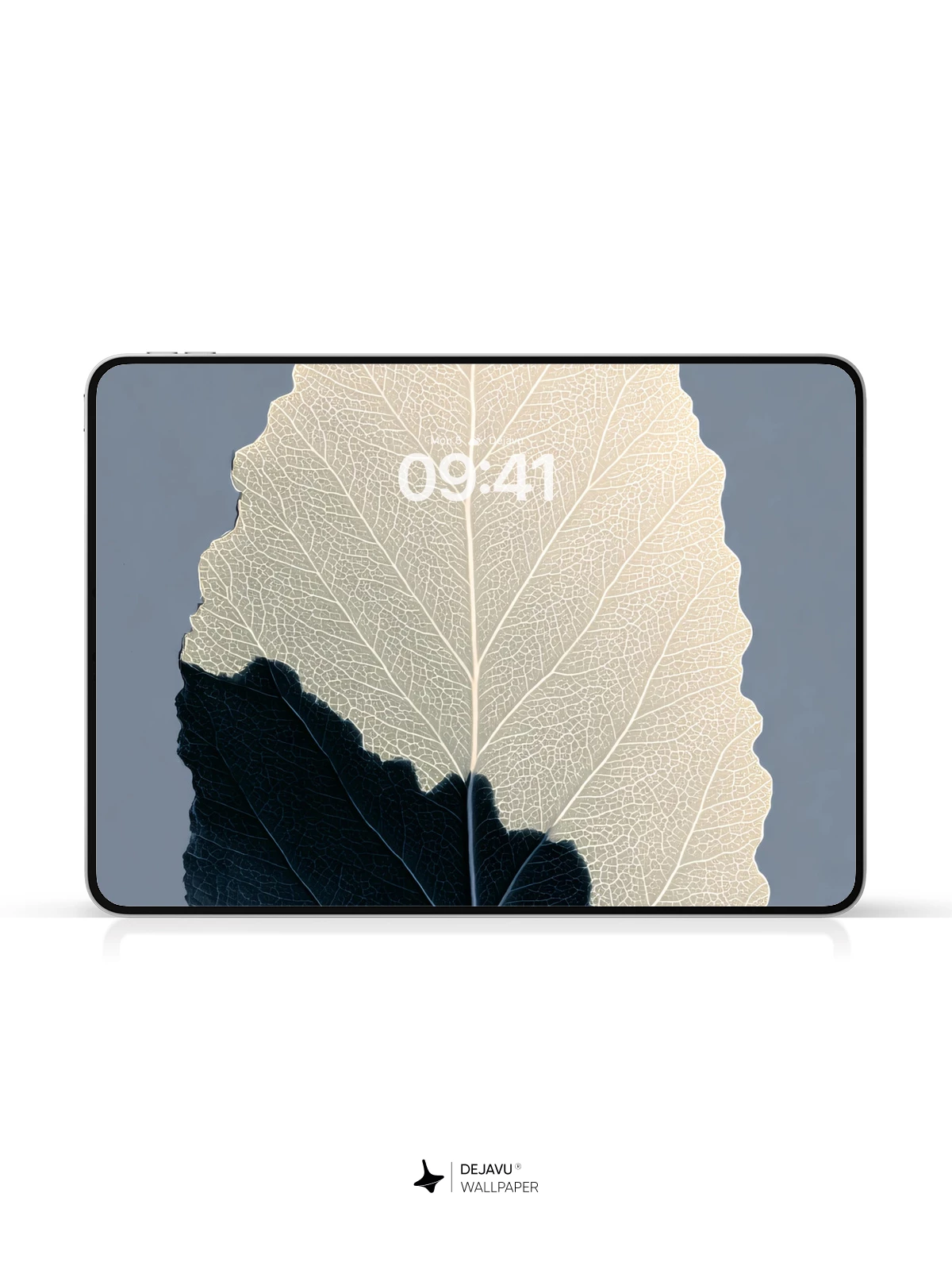 Leaf Veins Wallpaper 4K for iPhone Lock Screen