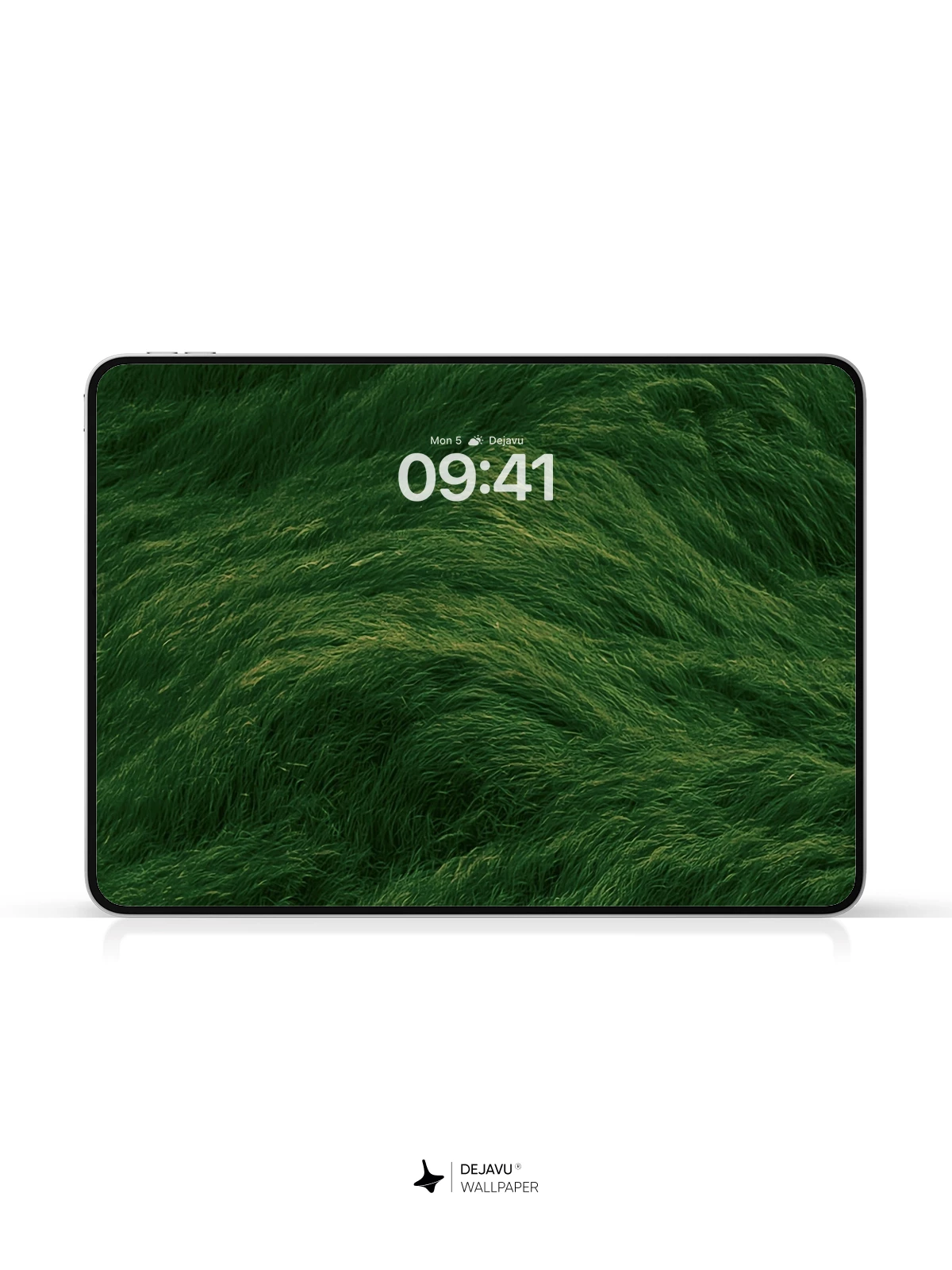 Green Grass Wallpaper 4K for Mobile Background