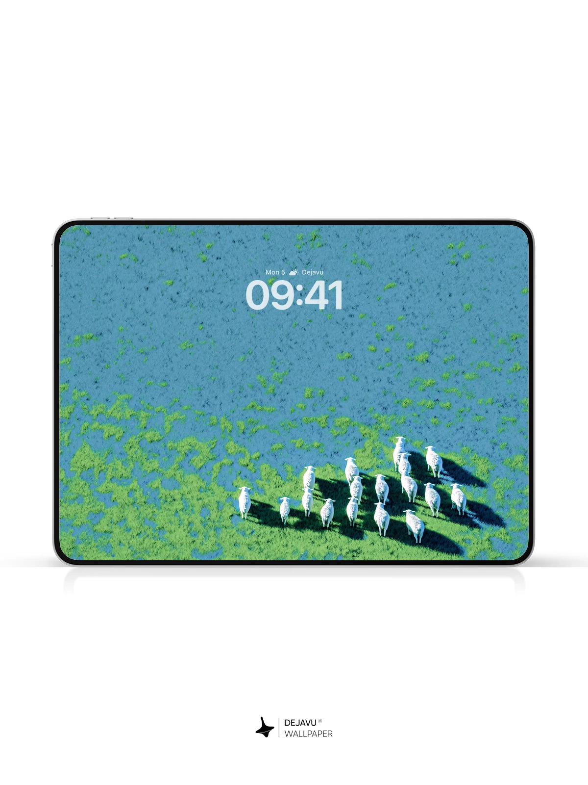 White Sheep Green Field Wallpaper 4K for iPhone Lock Screen
