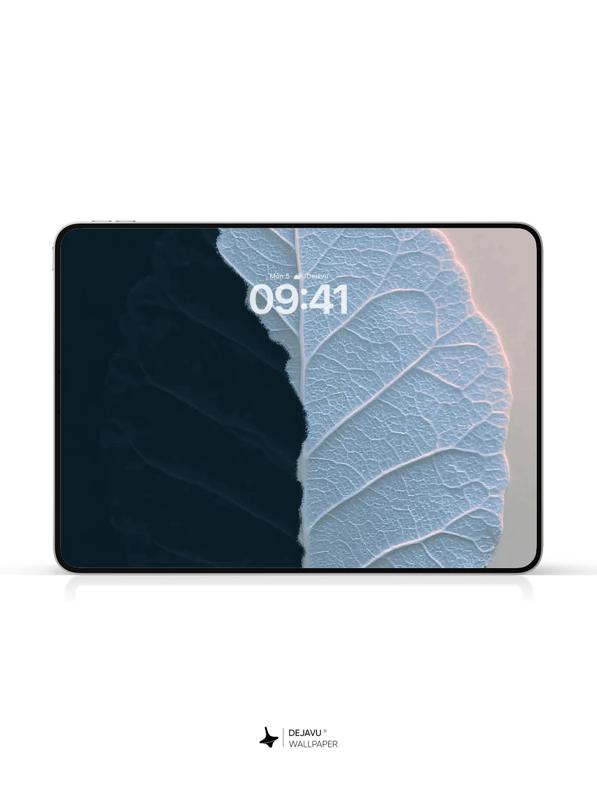 Leaf Vein Texture Wallpaper 4K for Mobile Background