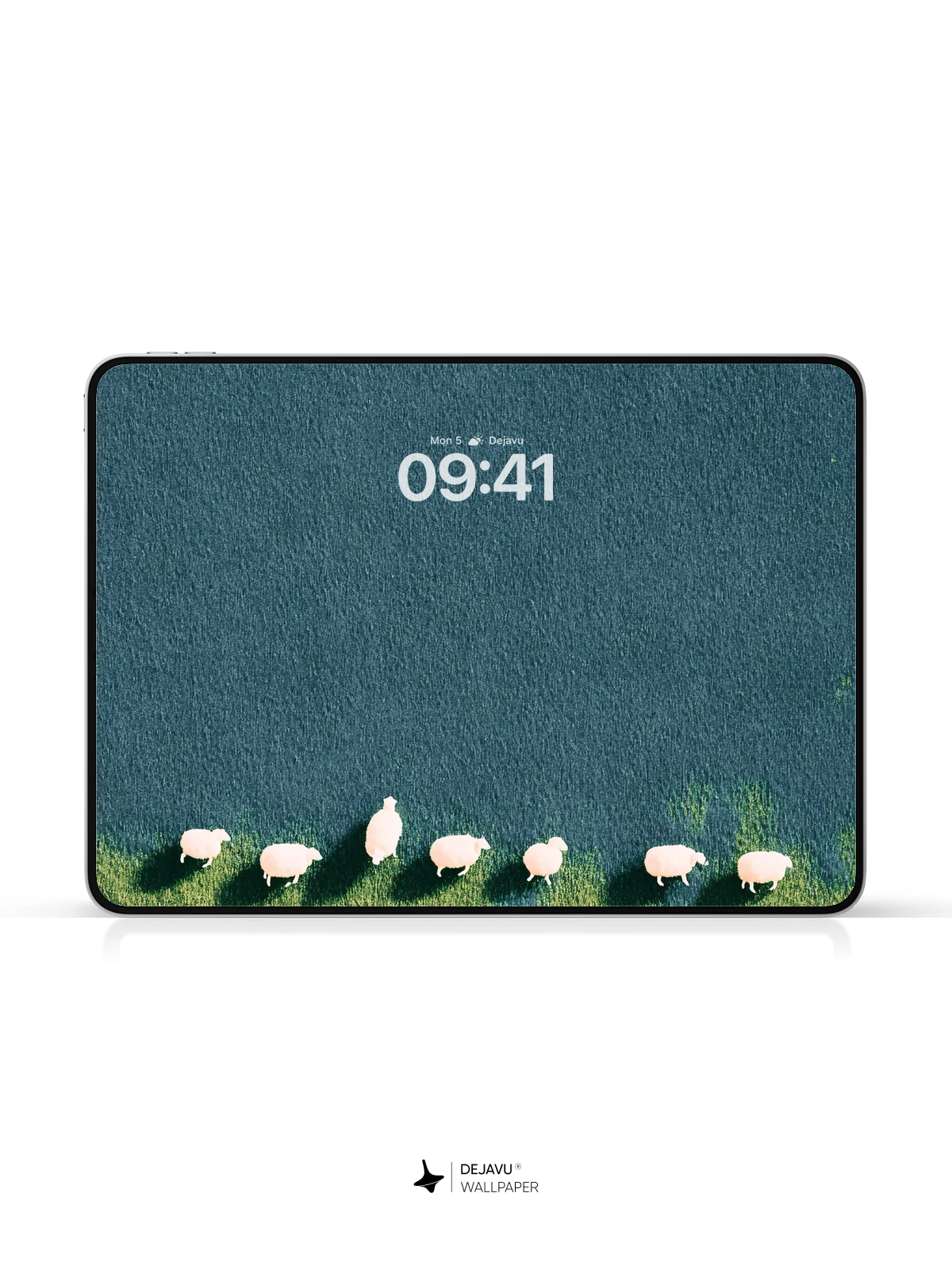 Sheep in Field Wallpaper 4K for iPhone Lock Screen