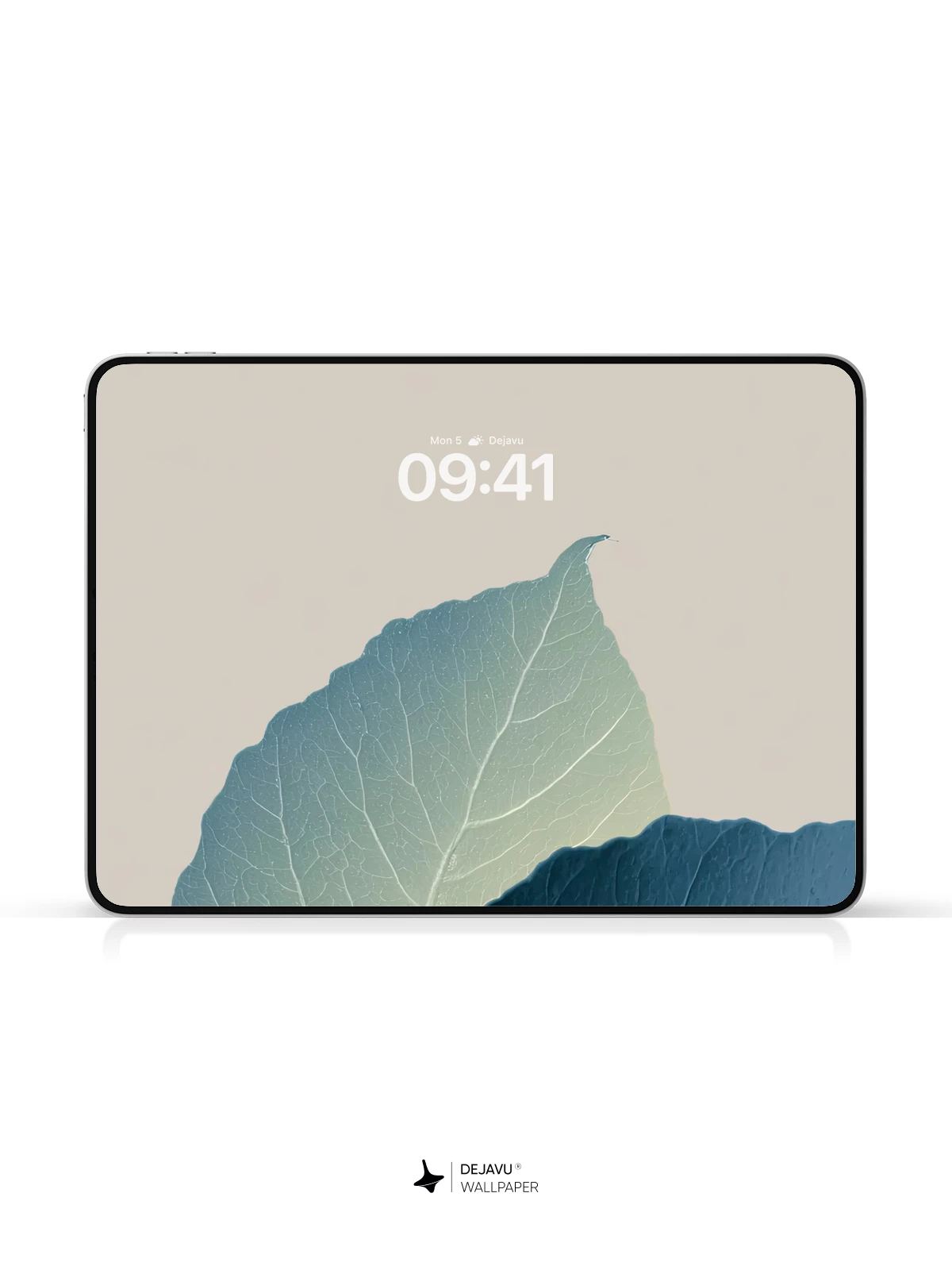 Minimal Leaf Wallpaper 4K for iPhone Lock Screen