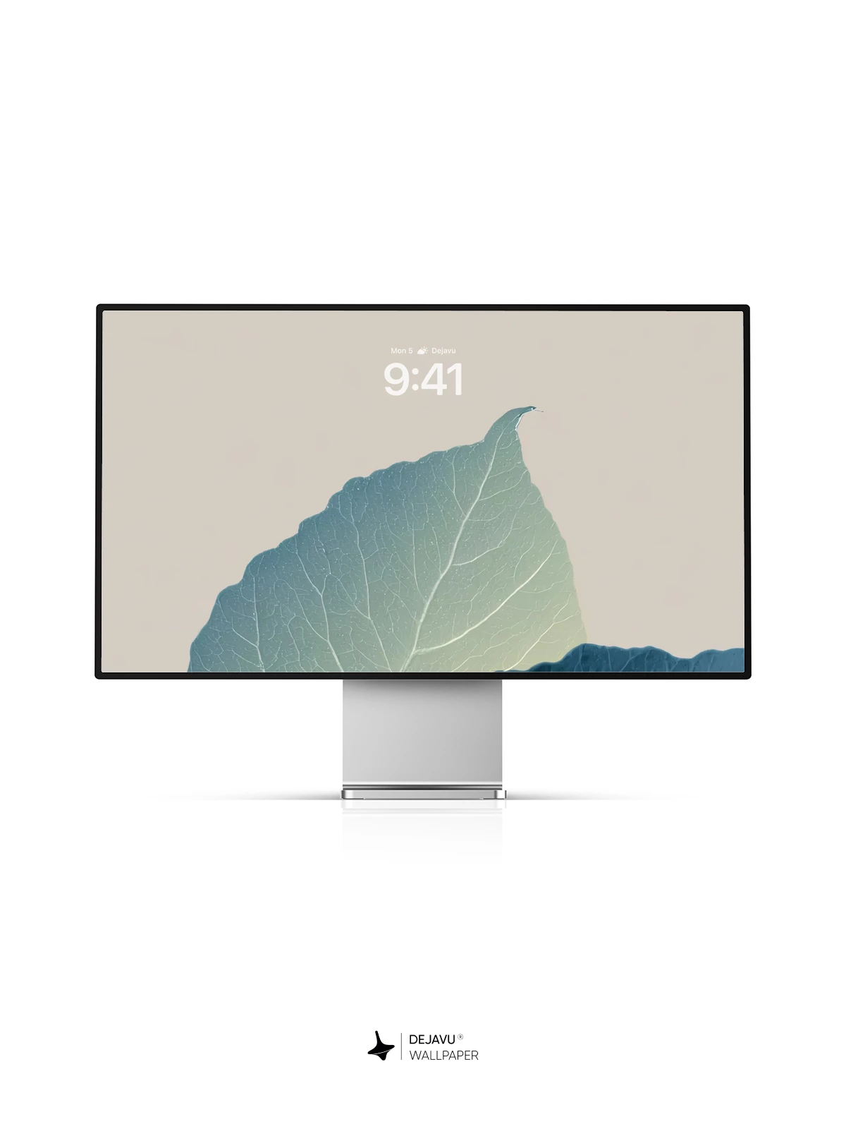 Minimal Leaf Wallpaper 4K for iPhone Lock Screen