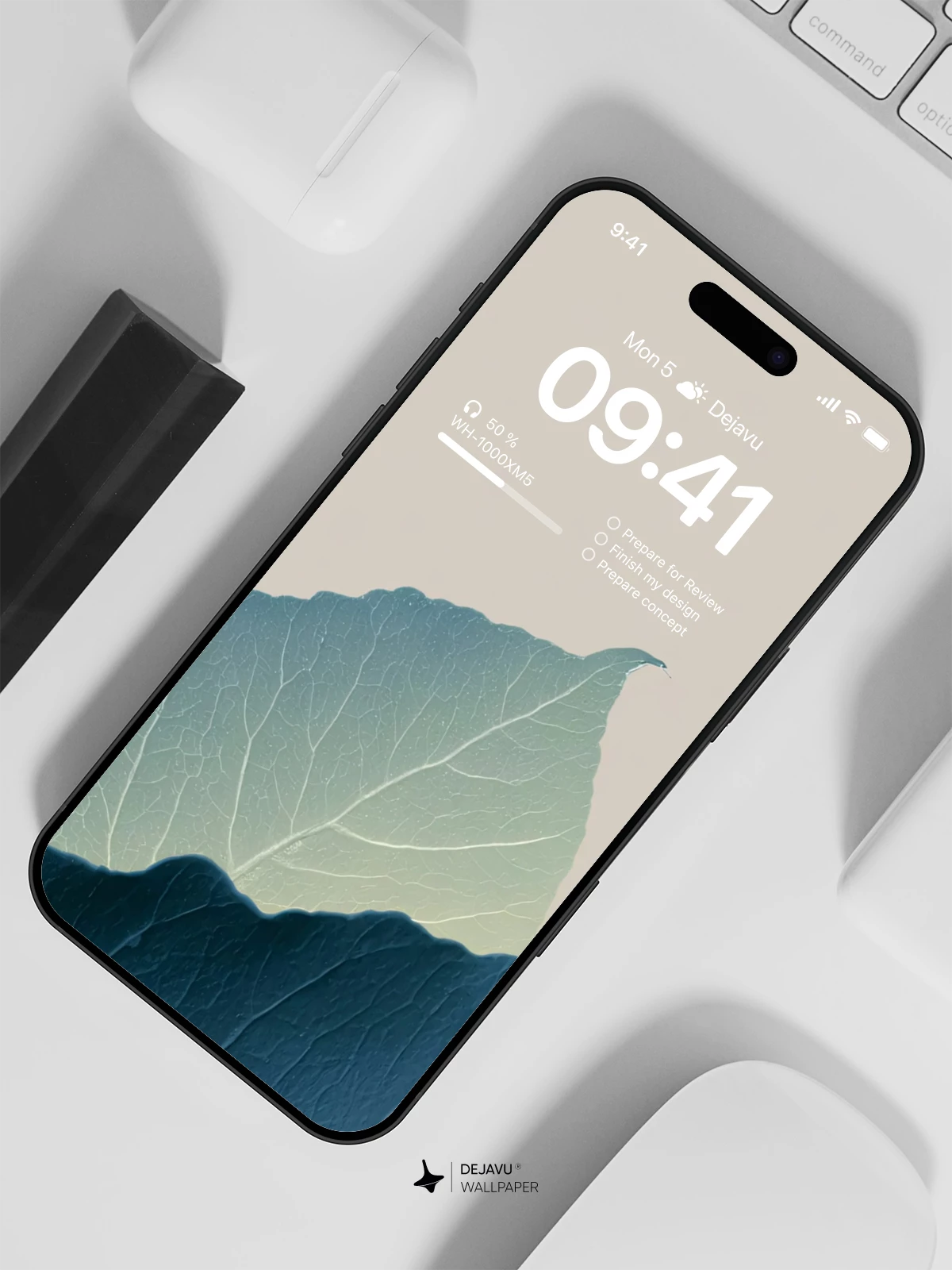 Minimal Leaf Wallpaper 4K for iPhone Lock Screen