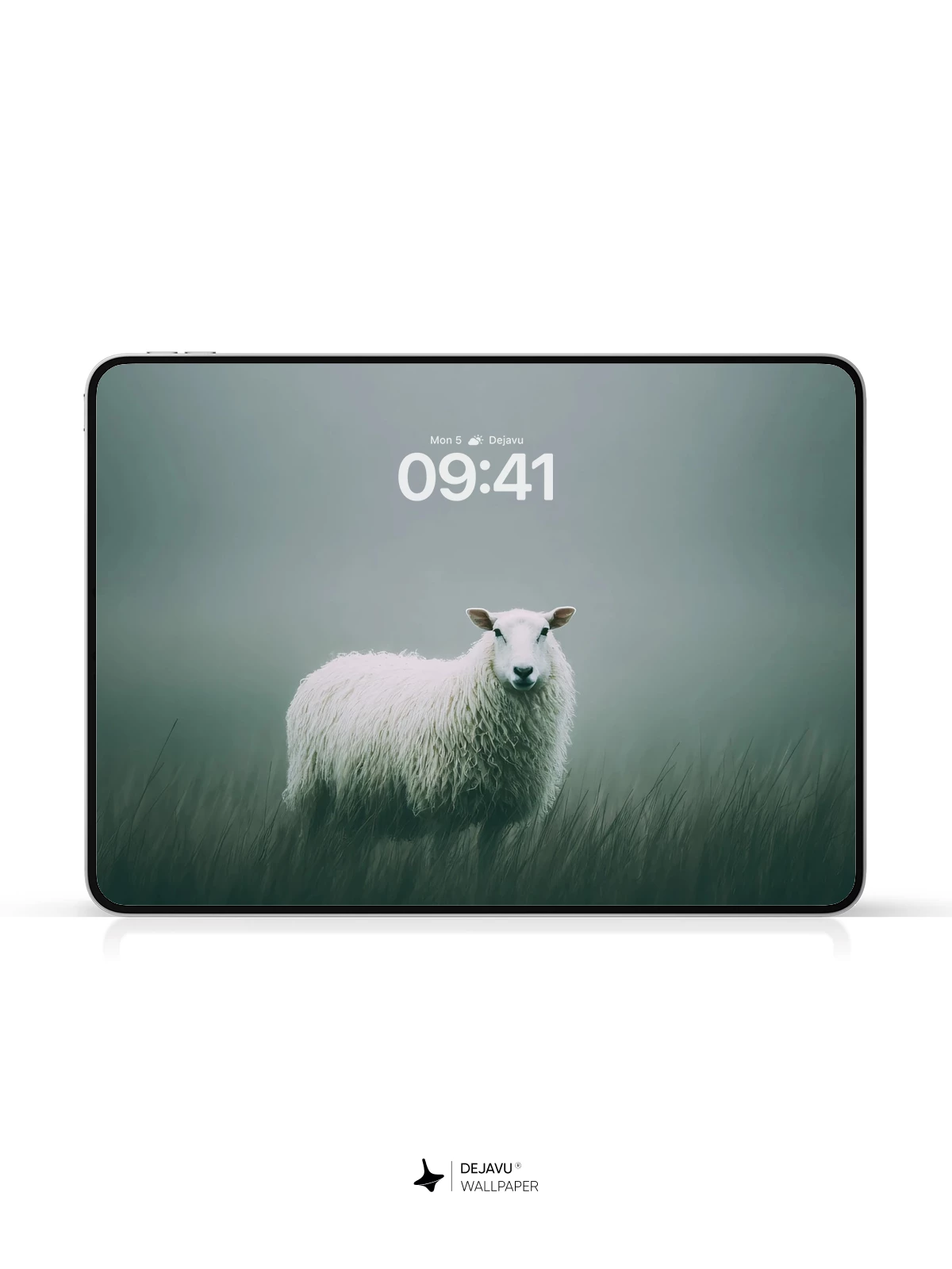 White Sheep Wallpaper 4K for Mobile Background
