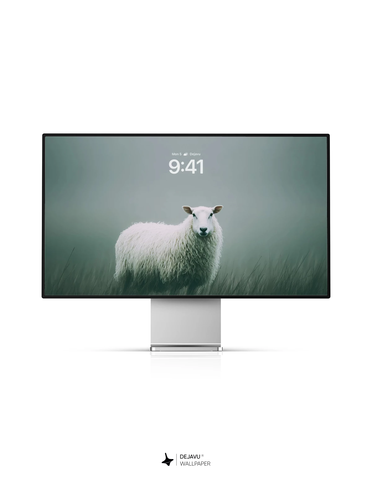 White Sheep Wallpaper 4K for Mobile Background