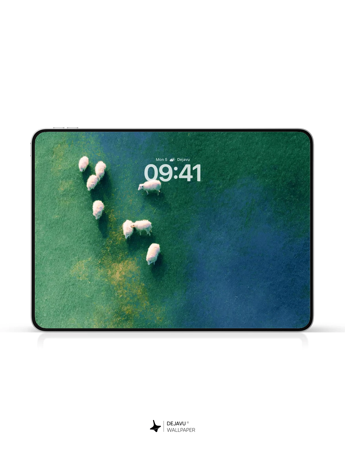 Sheep Grazing on Green Field Wallpaper 4K for Mobile Background