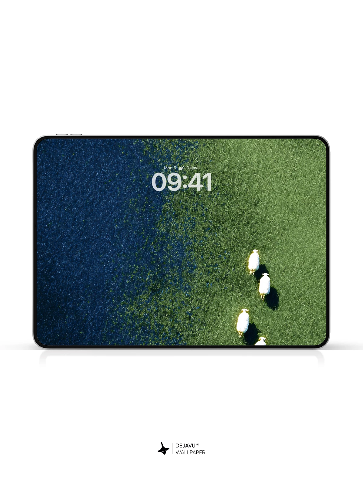 Sheep in Field Wallpaper 4K for iPhone Lock Screen