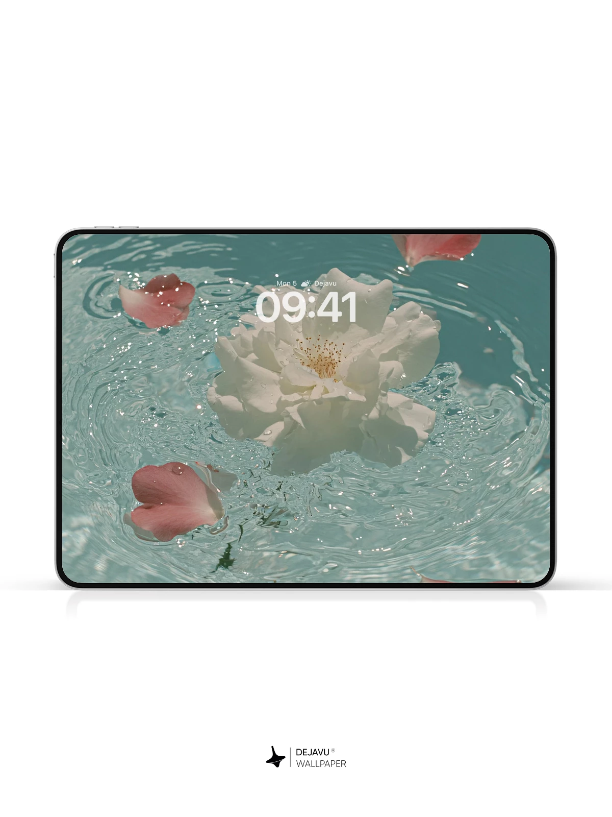 Floating White Rose and Petals Wallpaper 4K for iPhone Lock Screen