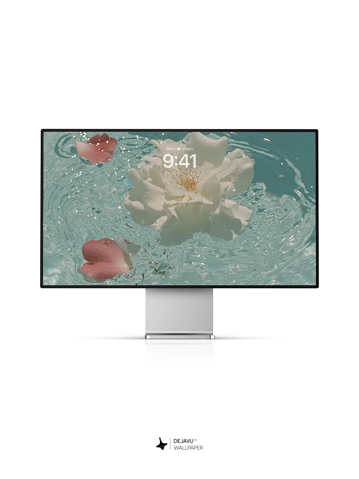 Floating White Rose and Petals Wallpaper 4K for iPhone Lock Screen