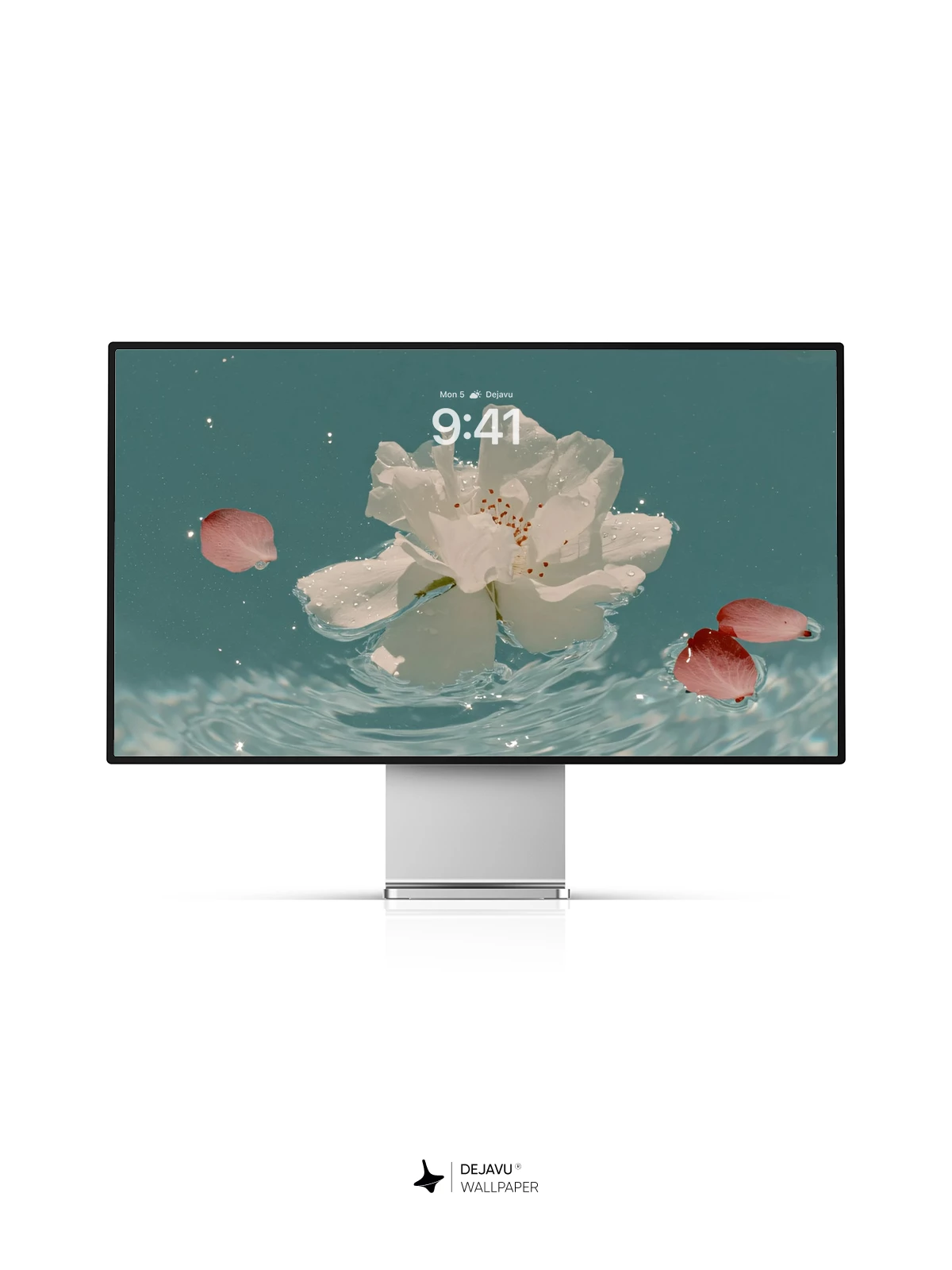 White Flower Water Wallpaper 4K for iPhone Lock Screen