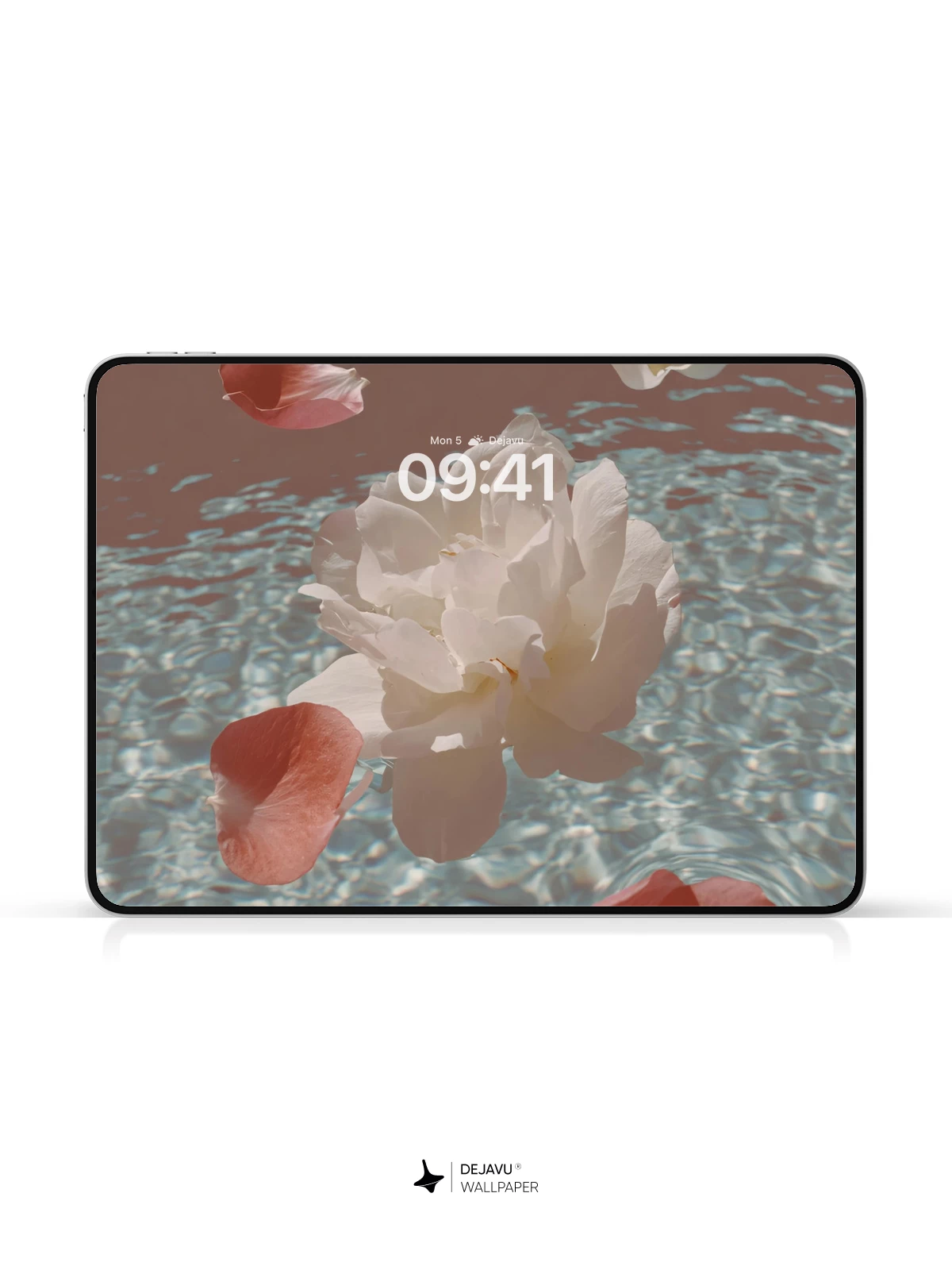 Flower Petals on Water Wallpaper 4K for Mobile Background