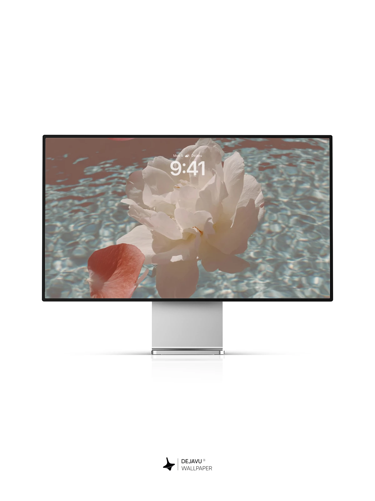 Flower Petals on Water Wallpaper 4K for Mobile Background