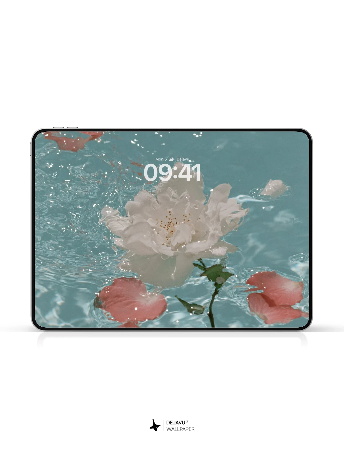Pink Flower Petals Water Ripple Wallpaper 4K for iPhone Lock Screen