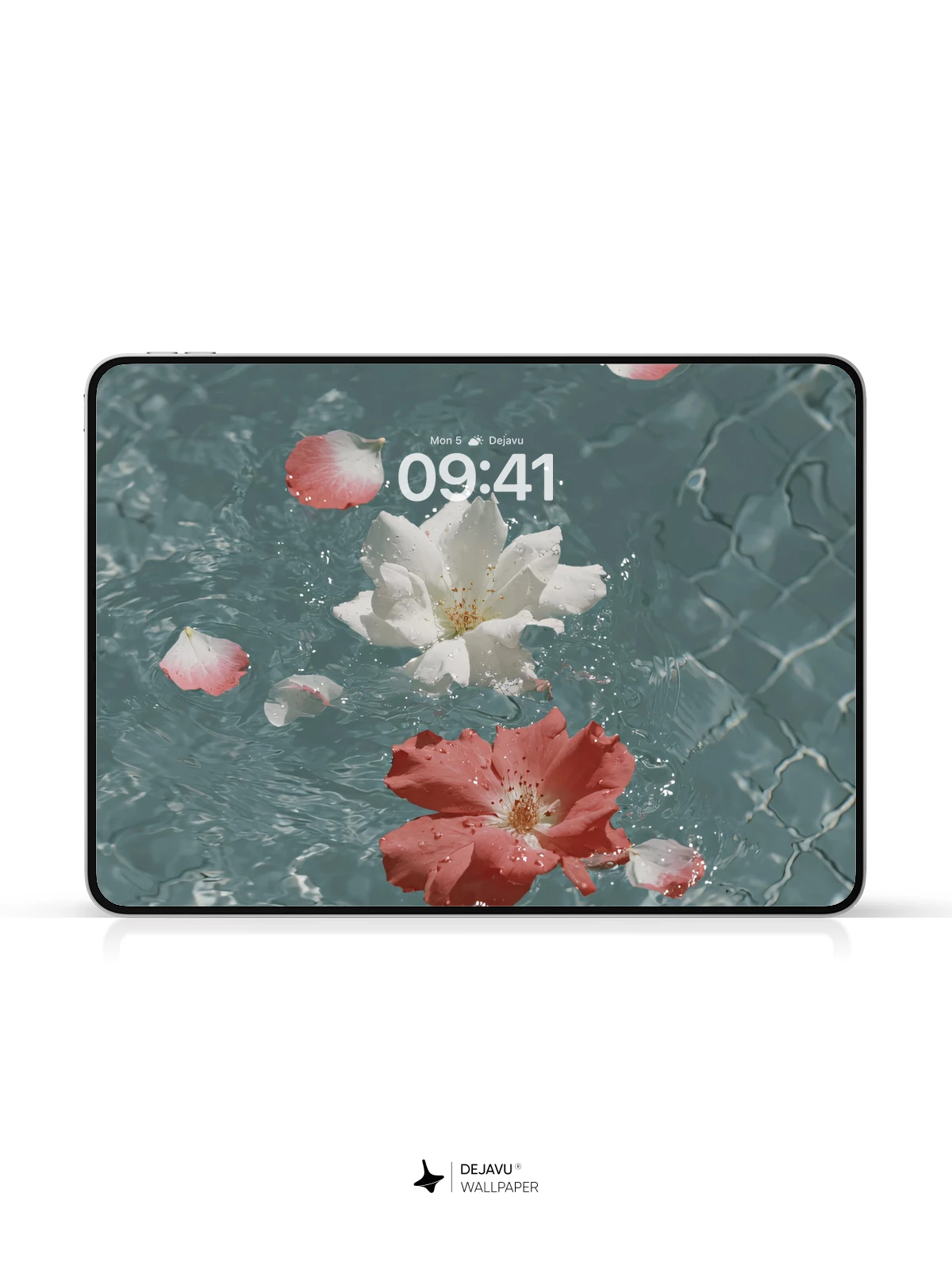 Rose Petals on Water 4K Wallpaper for iPhone Lock Screen