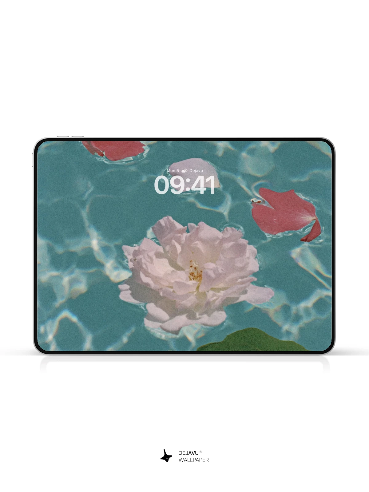 Flower Petals in Water Wallpaper 4K for Mobile Background