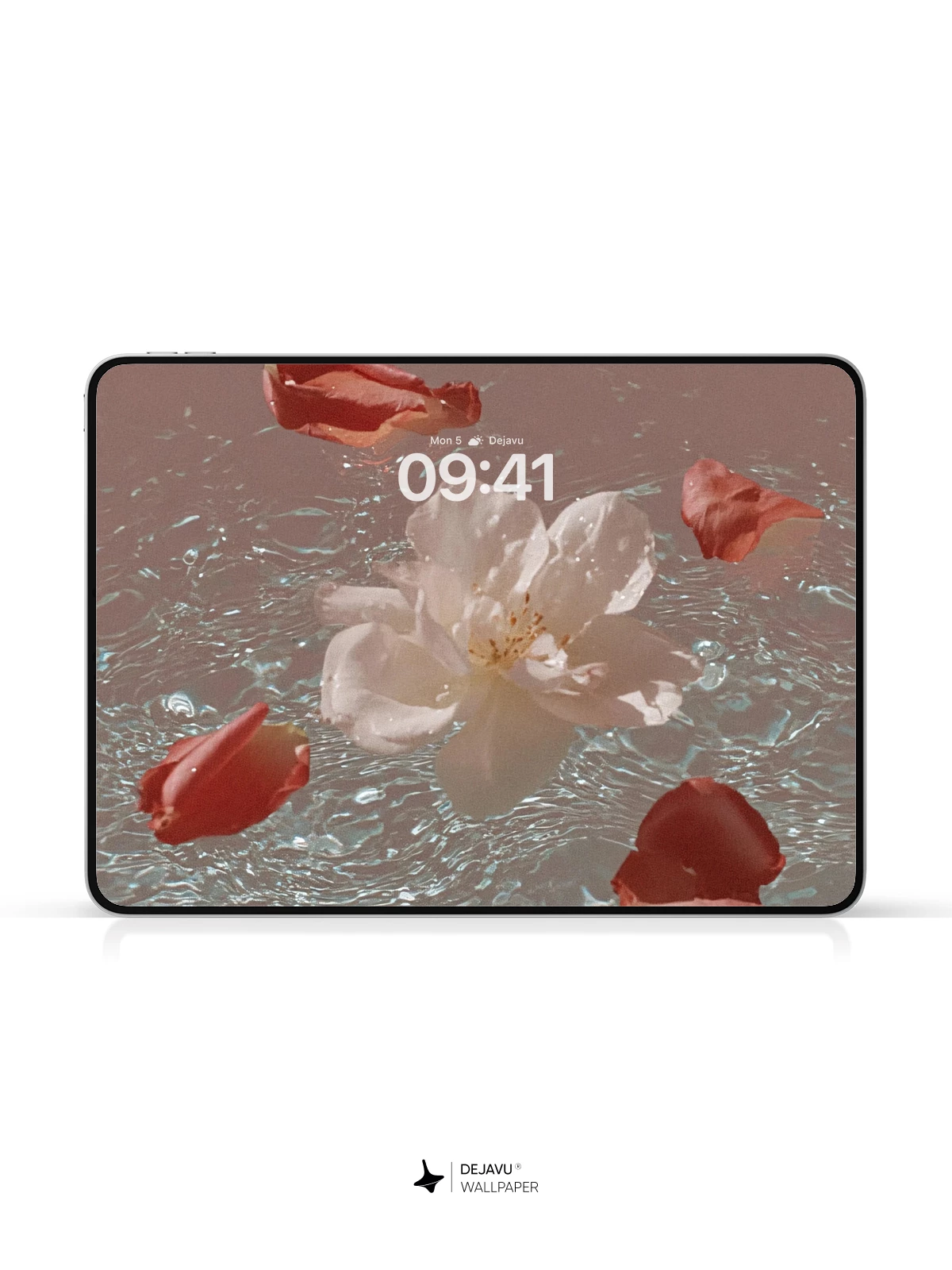 Rose Petal Water Wallpaper 4K for iPhone Lock Screen