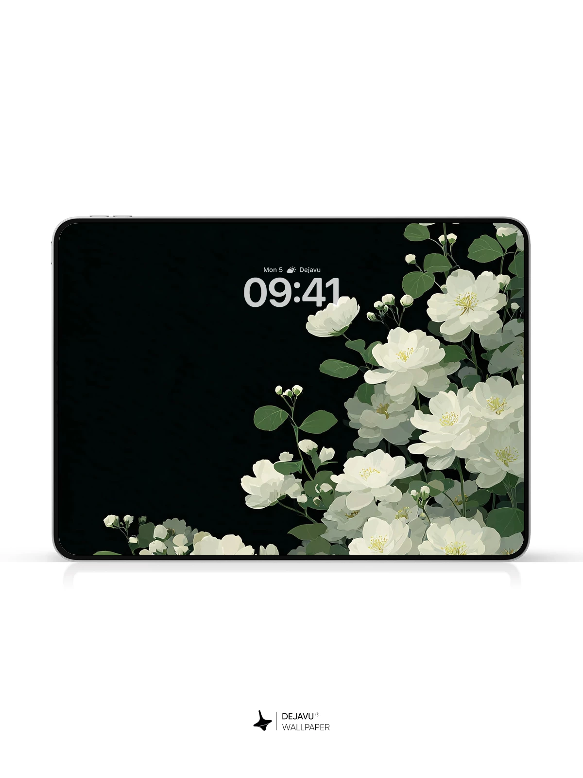 White Jasmine Flowers Black Background Wallpaper 4K for iPhone Lock Screen