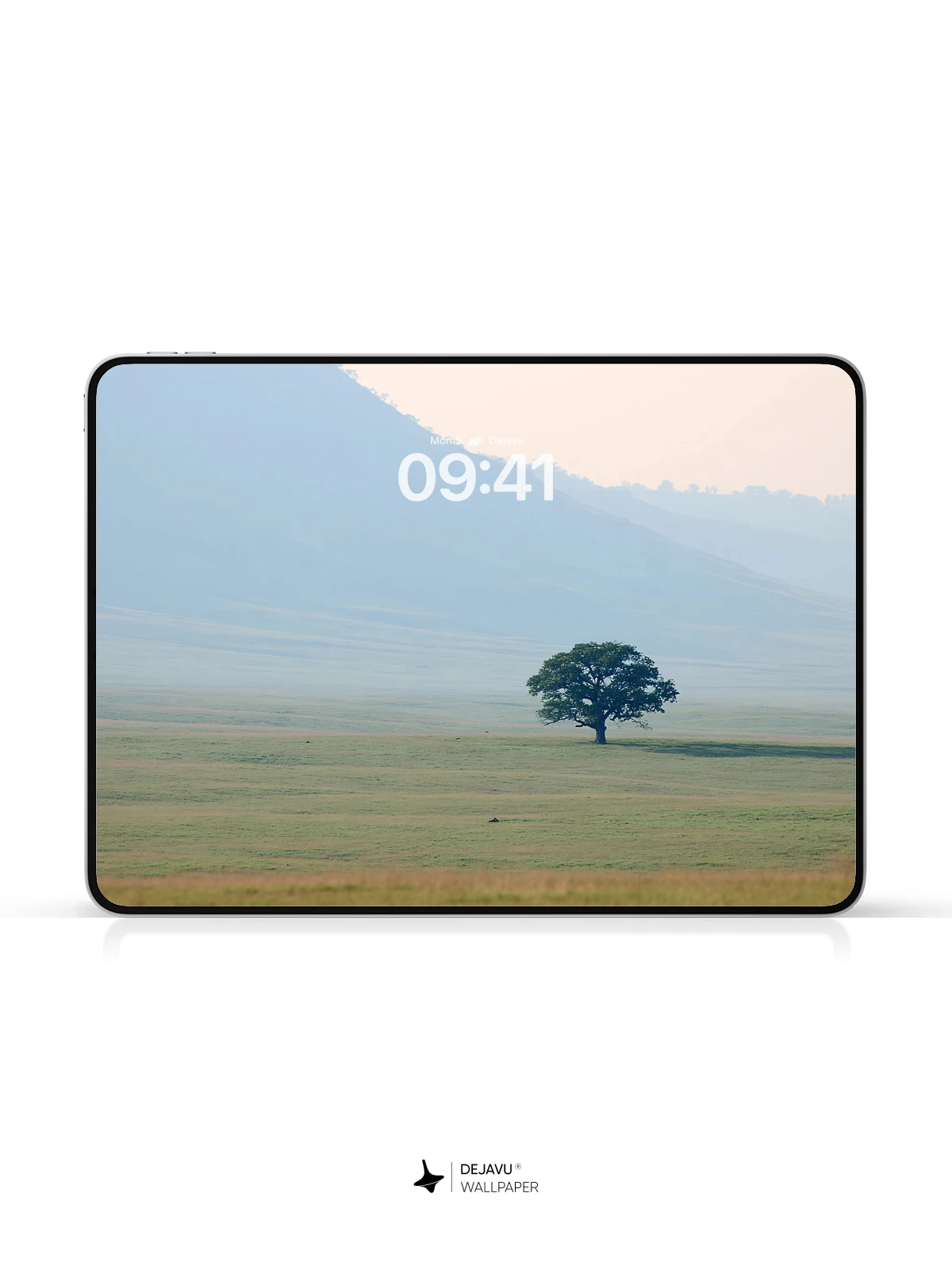 Solitary Tree Landscape Wallpaper 4K for iPhone Lock Screen
